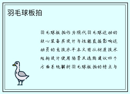 羽毛球板拍